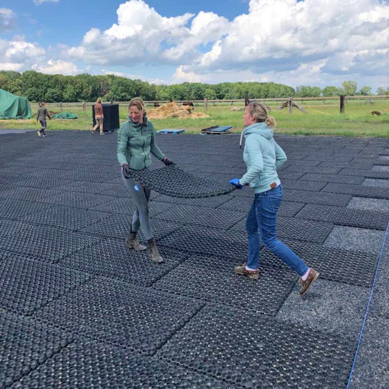 1800 sqm do-it-yourself riding arena construction by eventing rider Sophie Leube in Hamm 1800 sqm do-it-yourself riding arena construction by eventing rider Sophie Leube in Hamm