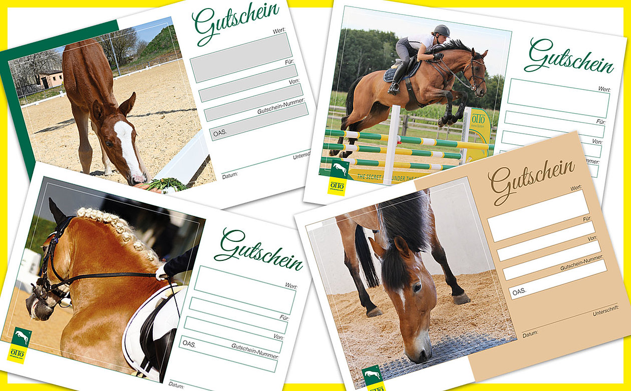 Gift vouchers for your horse lovers who are dear to you.