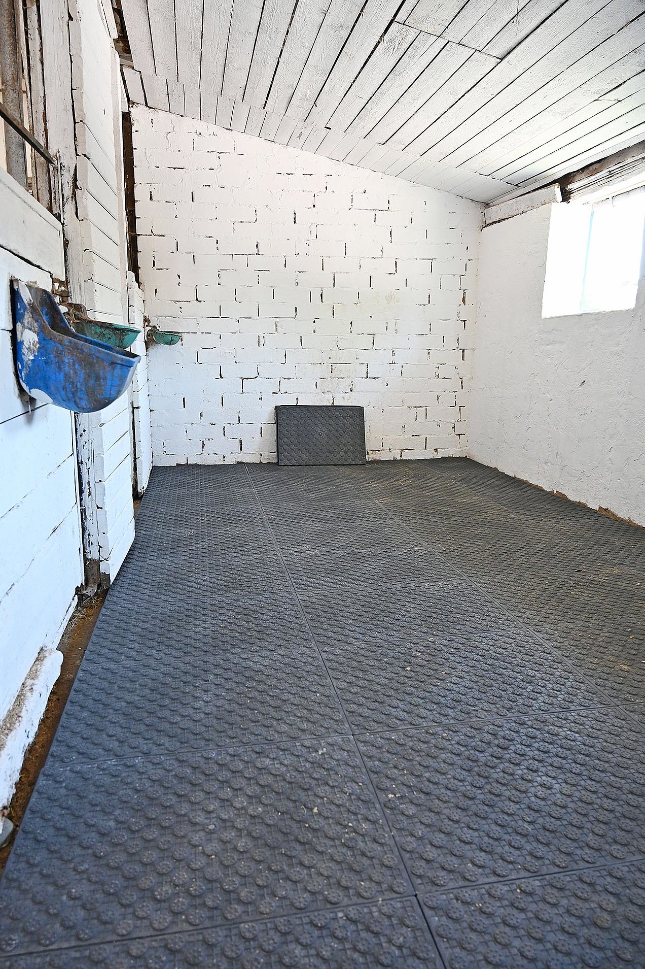 Horse box laid out with OTTO Smart stable mats
