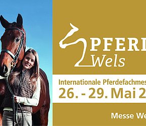 Pferd Wels Feria internacional del caballo