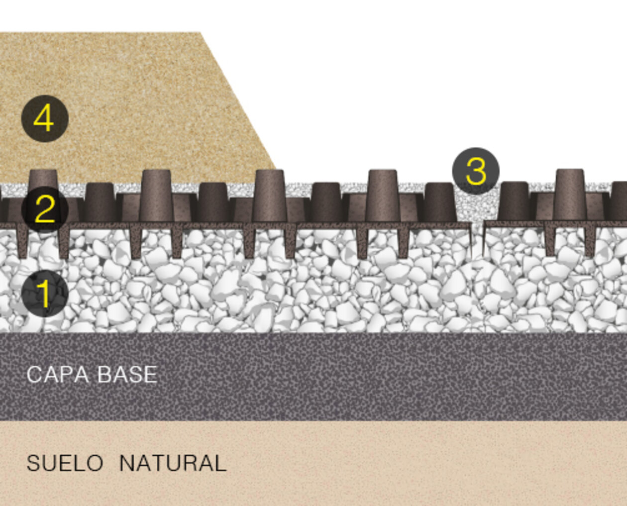 Estructura de 4 capas de un suelo de paddock Estructura de 4 capas de un suelo de paddock