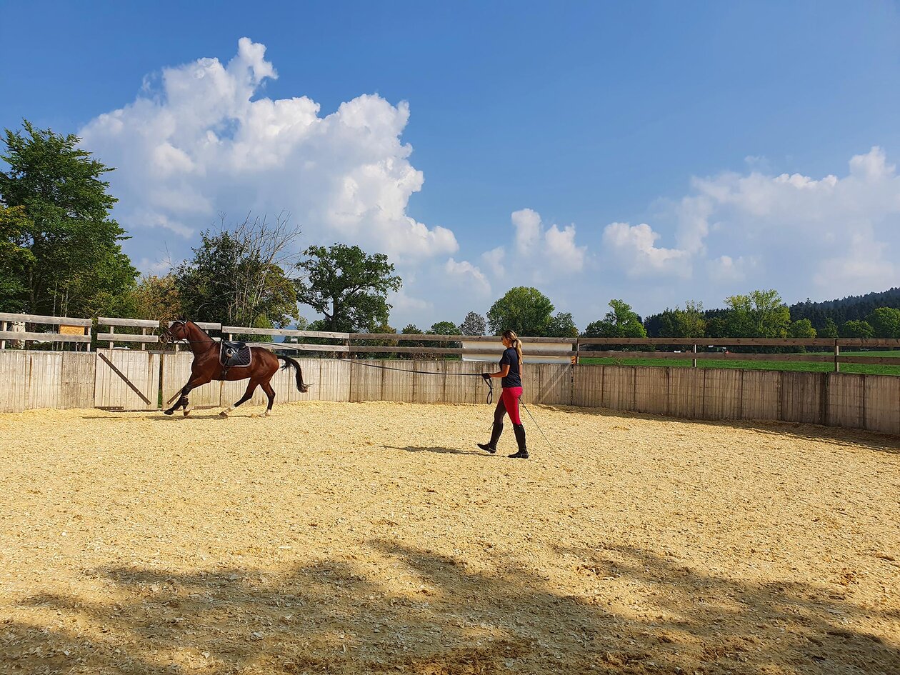 Círculo para hacer cuerda de KrollRanch en Aldingen, Alemania Círculo para hacer cuerda de KrollRanch en Aldingen, Alemania